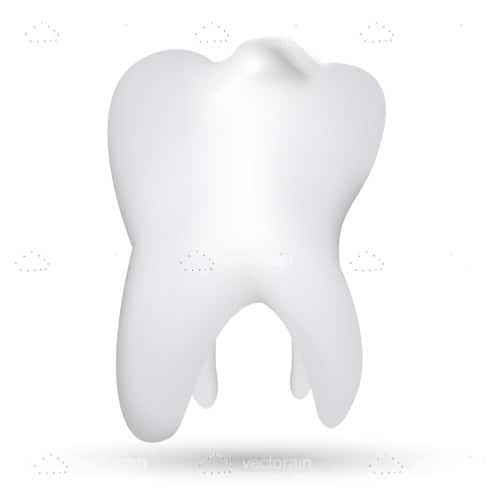 Tooth